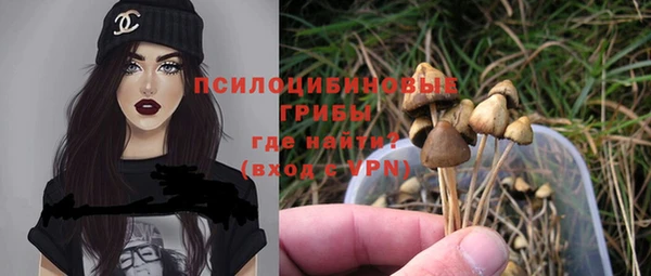 прущие крисы Арсеньев